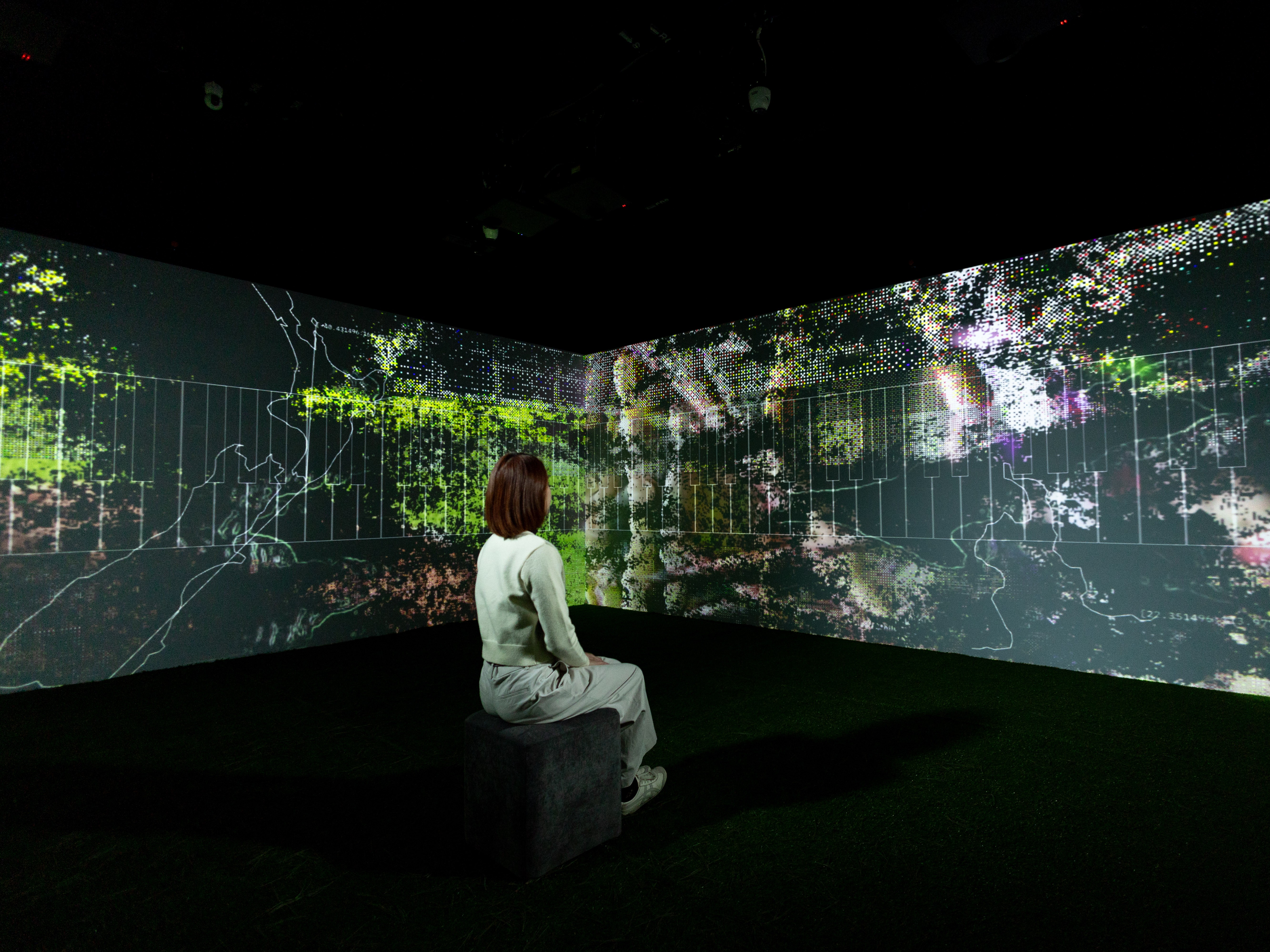 香港设计中心呈献 崭新沉浸式展览《森林钢琴・四季三问》